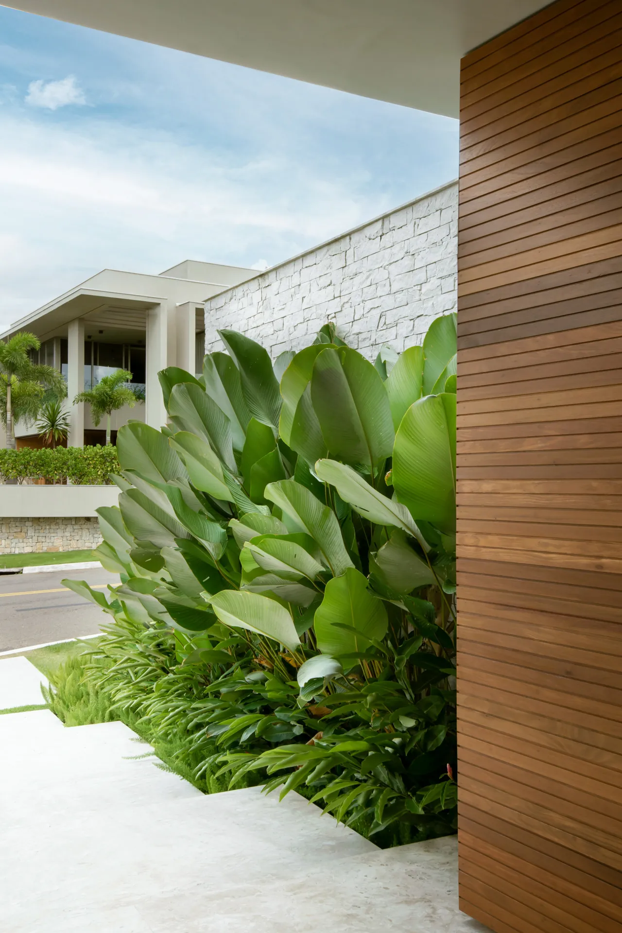Fachada com painel de madeira e folhagens
